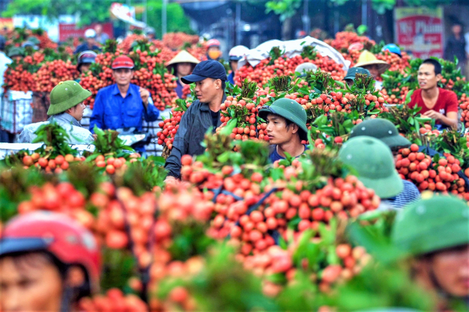 Sau vụ vải thiều thành công, Bắc Giang phấn đấu năm 2021 cán mốc 160.000 tấn