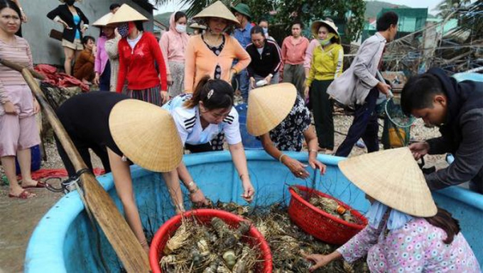 Sống chung với thiên tai