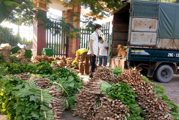 Hành động thiết thực giúp nông dân vượt qua đại dịch