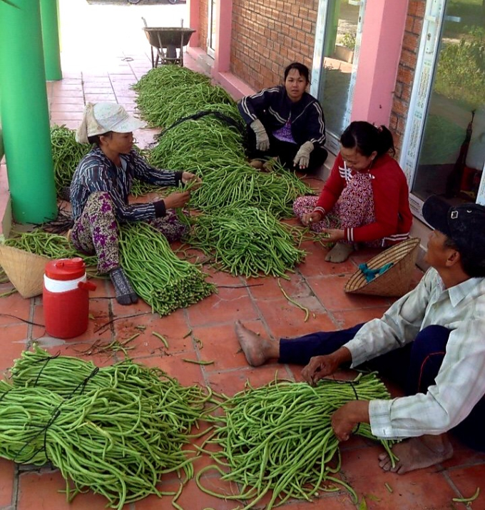 Tây Ninh đưa hộ sản xuất nông sản lên sàn thương mại điện tử