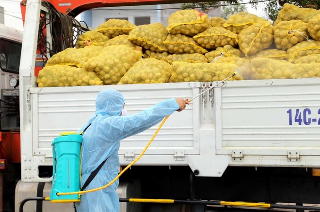 Tăng cường công tác vận tải hỗ trợ tiêu thụ nông sản phòng, chống dịch