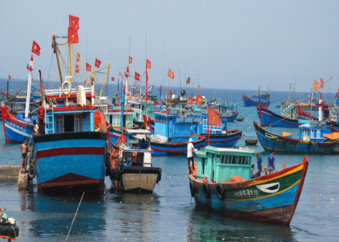 Ngắt giám sát hành trình, 10 tàu cá tại Quảng Ngãi bị xử phạt 250 triệu đồng
