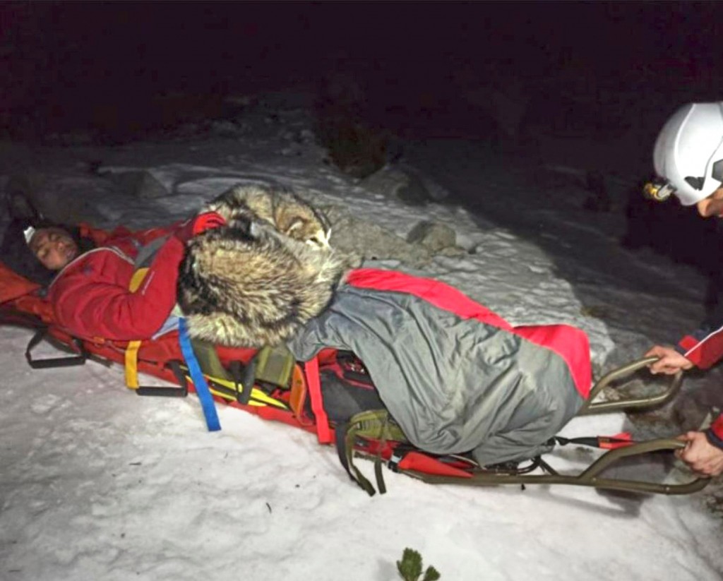Chuyện lạ: Chú chó nằm ủ ấm suốt 13 tiếng cứu chủ trên núi tuyết