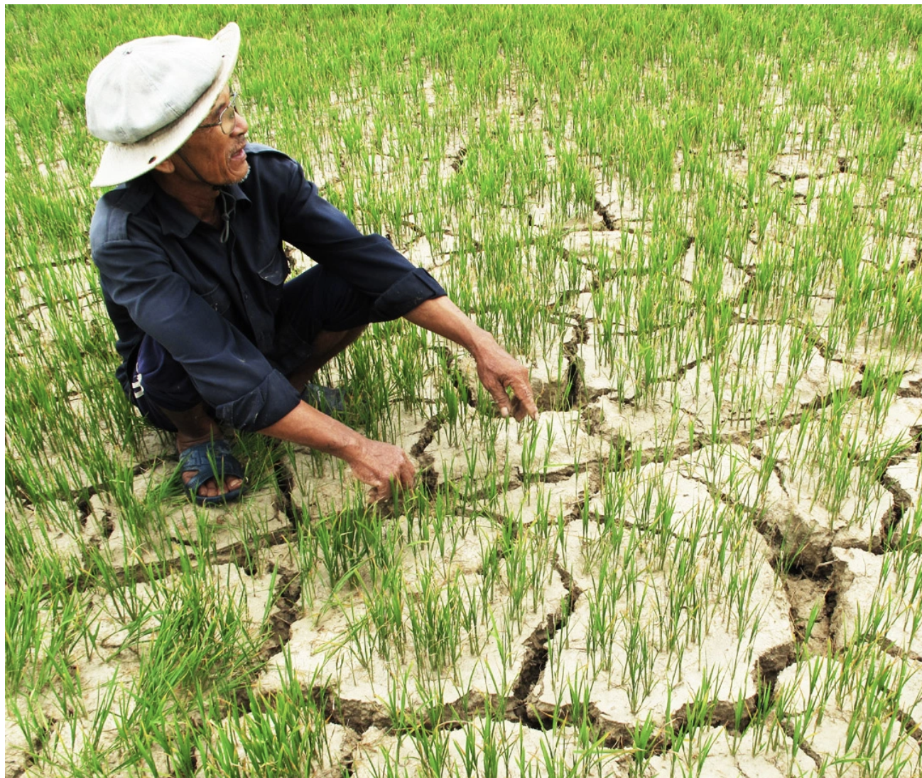 El Nino gây thâm hụt đến 50% lượng mưa