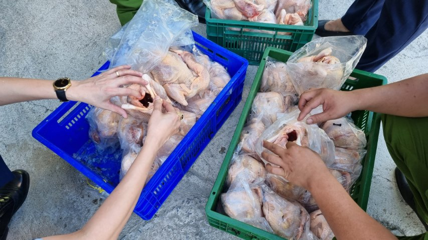 Nghệ An: Phát hiện hơn 10 tấn gà đông lạnh không rõ nguồn gốc xuất xứ