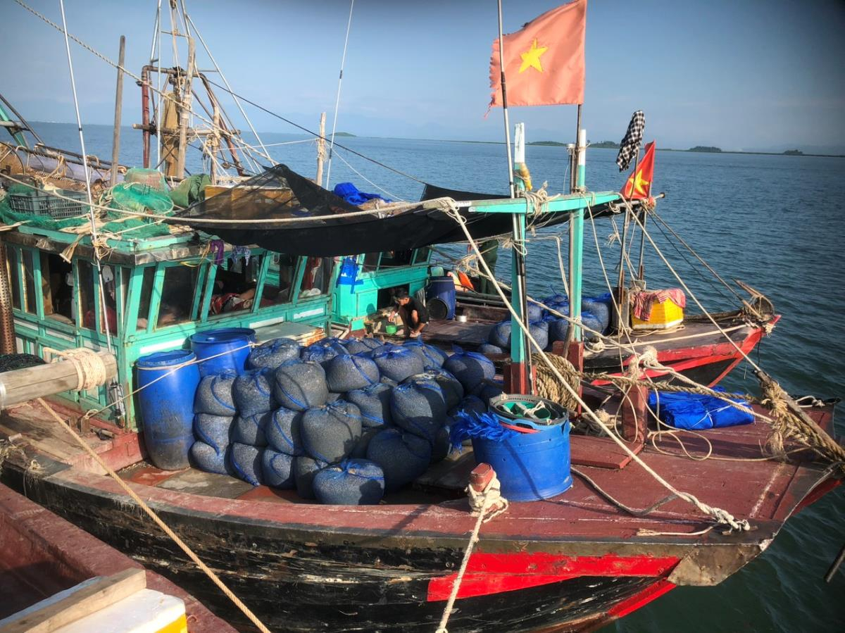 Quảng Ninh: Bắt giữ 4 tàu đánh cá đánh bắt hải sản sai vùng biển quy định