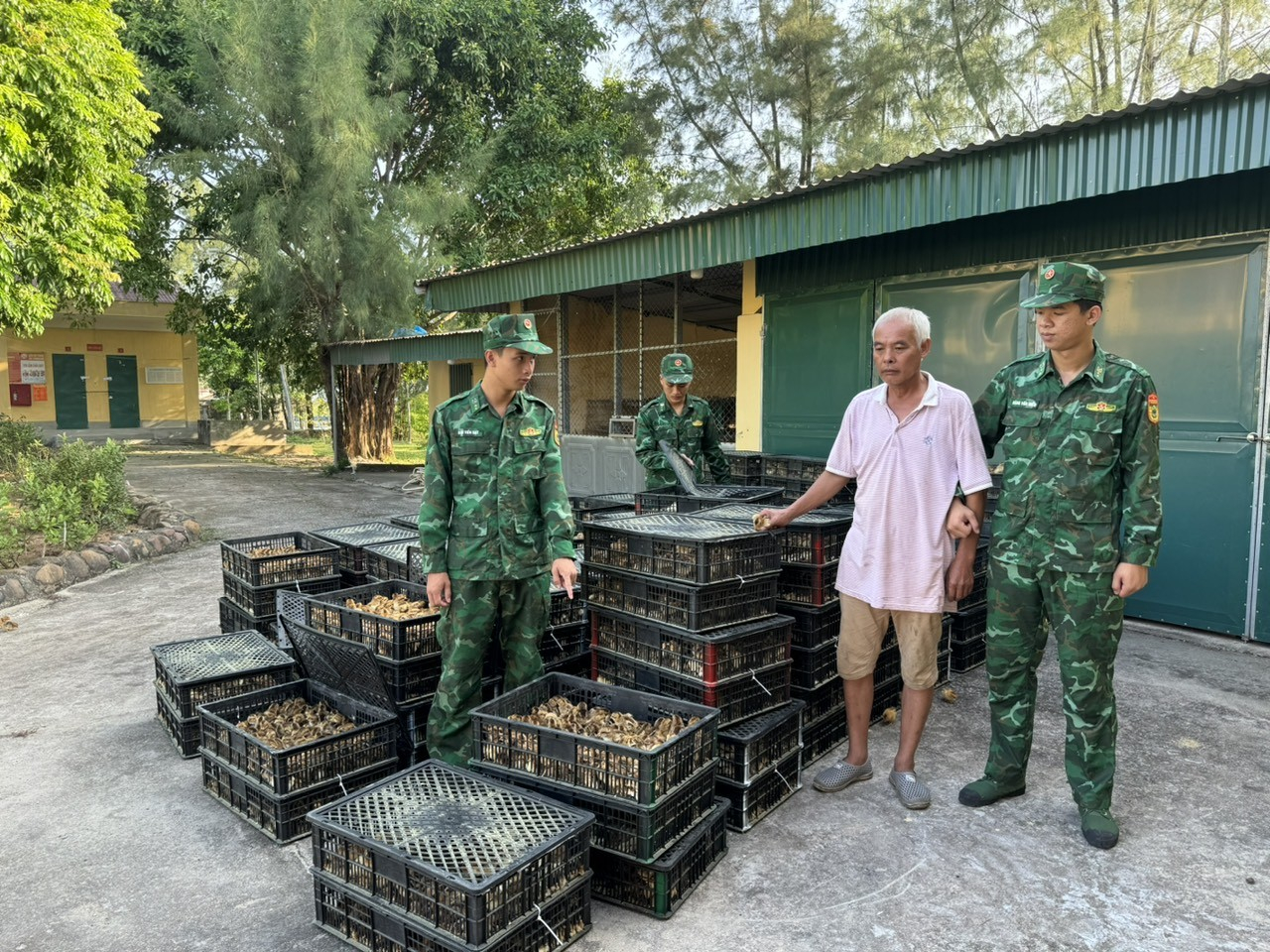 Bộ đội Biên phòng Trà Cổ bắt giữ hơn 17 nghìn con gà nhập lậu