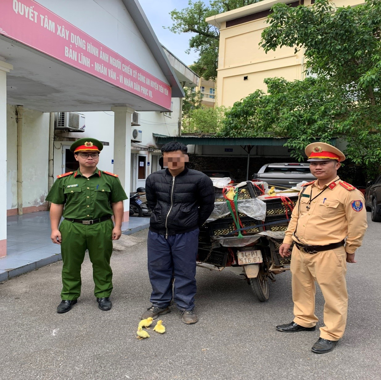 Quảng Ninh: CSGT bắt vụ vận chuyển trái phép gia cầm không rõ nguồn gốc