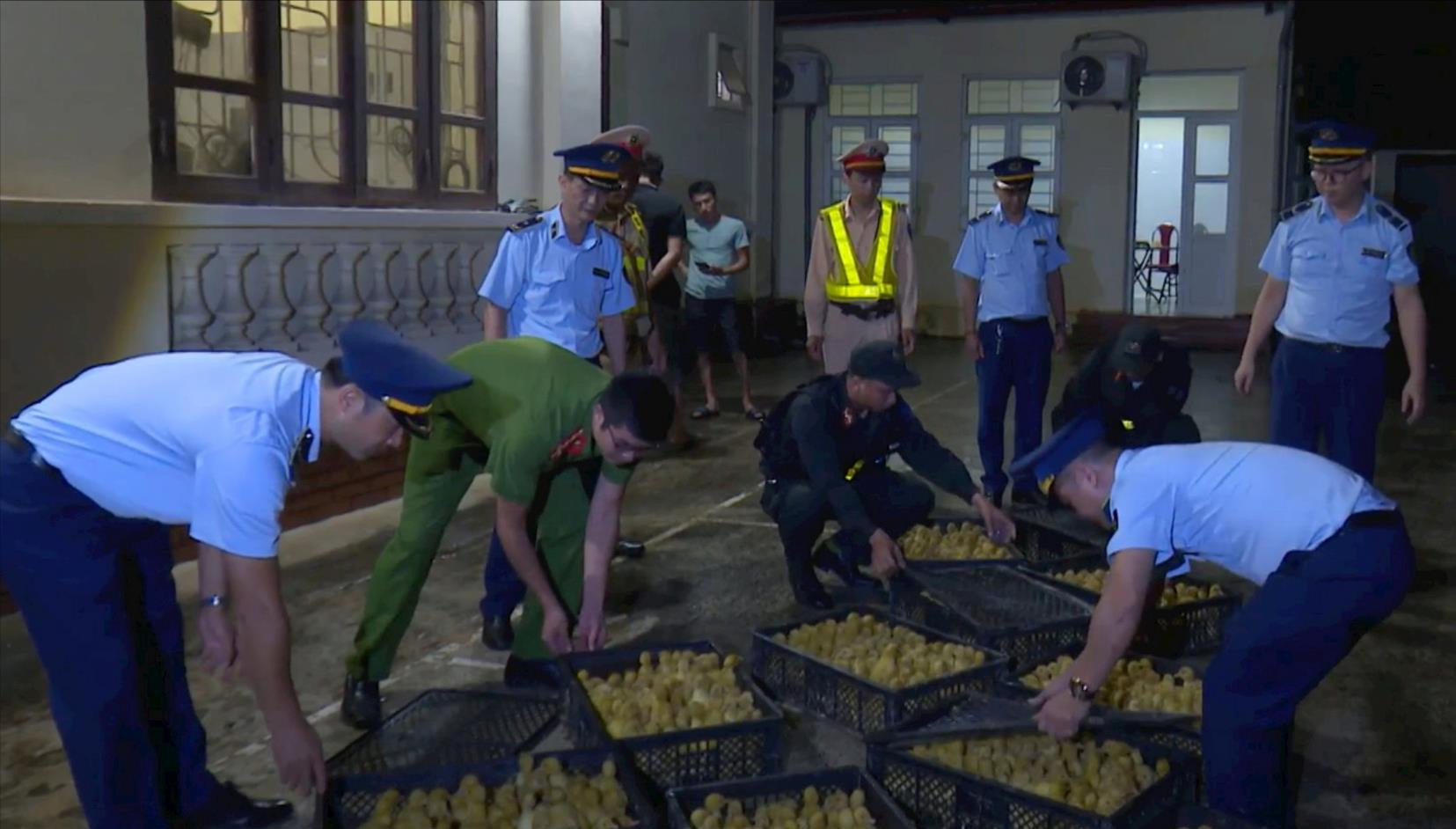 Mỗi năm hơn 200.000 tấn gia cầm nhập lậu vào Việt Nam