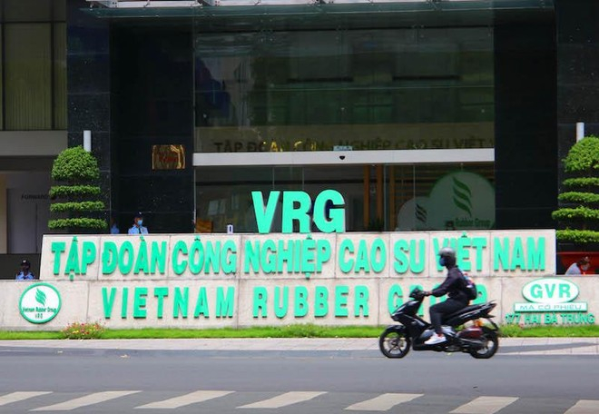 Tập đoàn Cao su Việt Nam (GVR) hạ kế hoạch lợi nhuận hơn 900 tỷ đồng