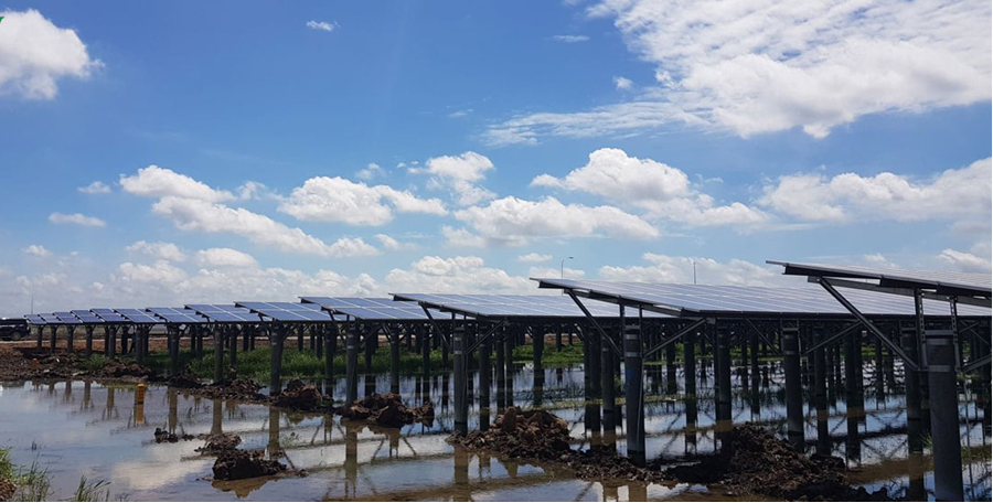 UBND tỉnh Long An có nhiều vi phạm trong quản lý, sử dụng đất xây dựng nhà máy điện mặt trời