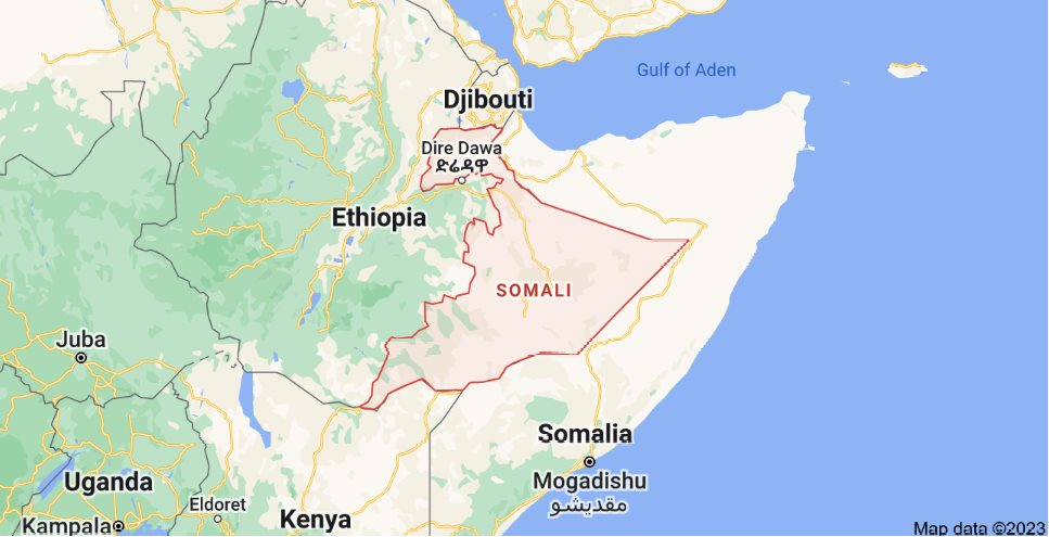WHO quyết liệt ứng phó bệnh Leishmania bùng phát tại Ethiopia