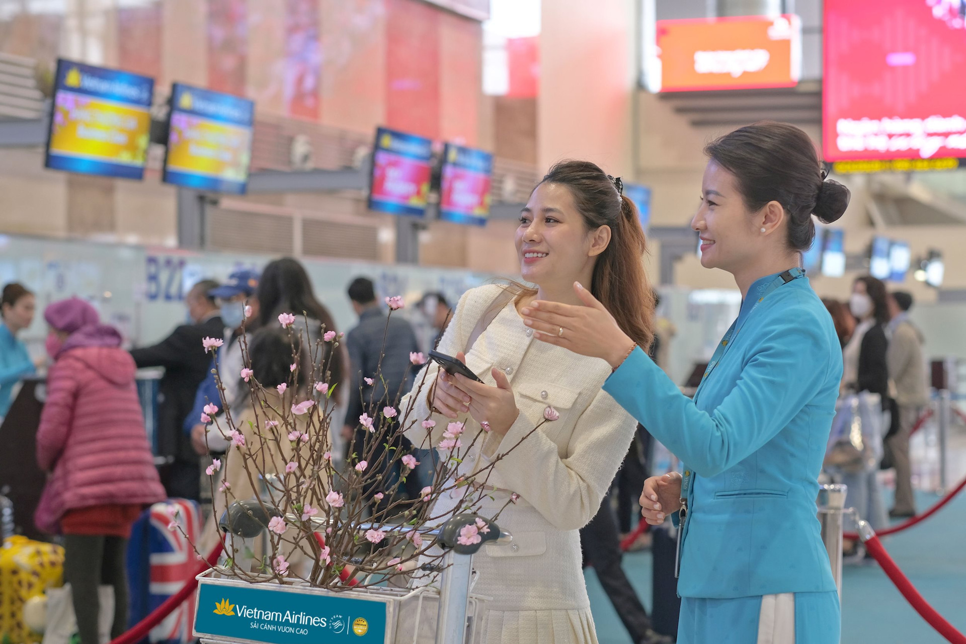 Vietnam Airlines, Vietjet nhận vận chuyển cành đào, cành mai dịp Tết Giáp Thìn 2024