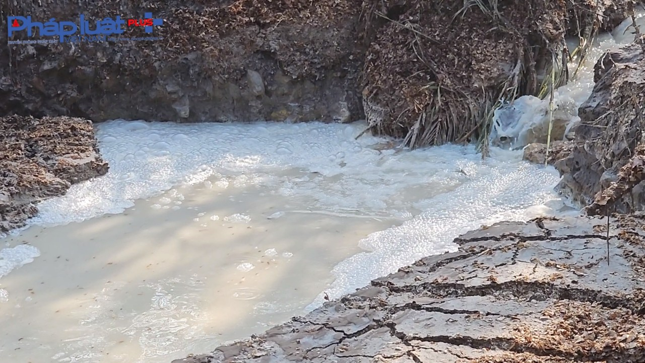 UBND tỉnh Lai Châu cần chỉ đạo làm rõ việc xưởng chế biến tinh bột sắn xả thải xuống sông Nậm Na
