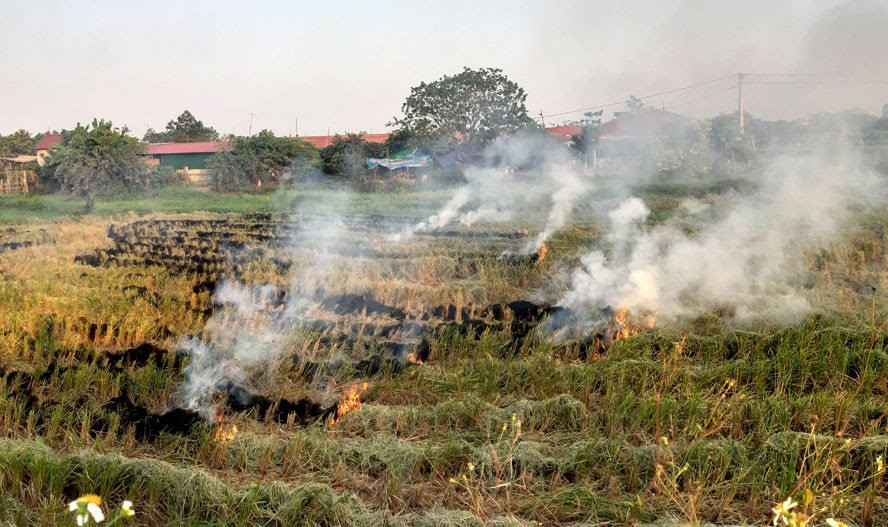 Không để xảy ra đốt rơm rạ khu vực gần quốc lộ, tỉnh lộ, sân bay Nội Bài