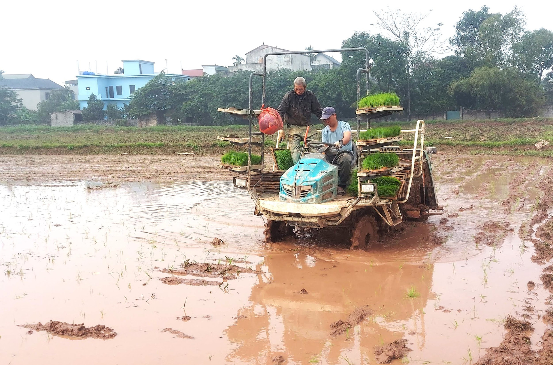 Gần 82% diện tích của thành phố Hà Nội đã cấp đủ nước gieo cấy vụ xuân