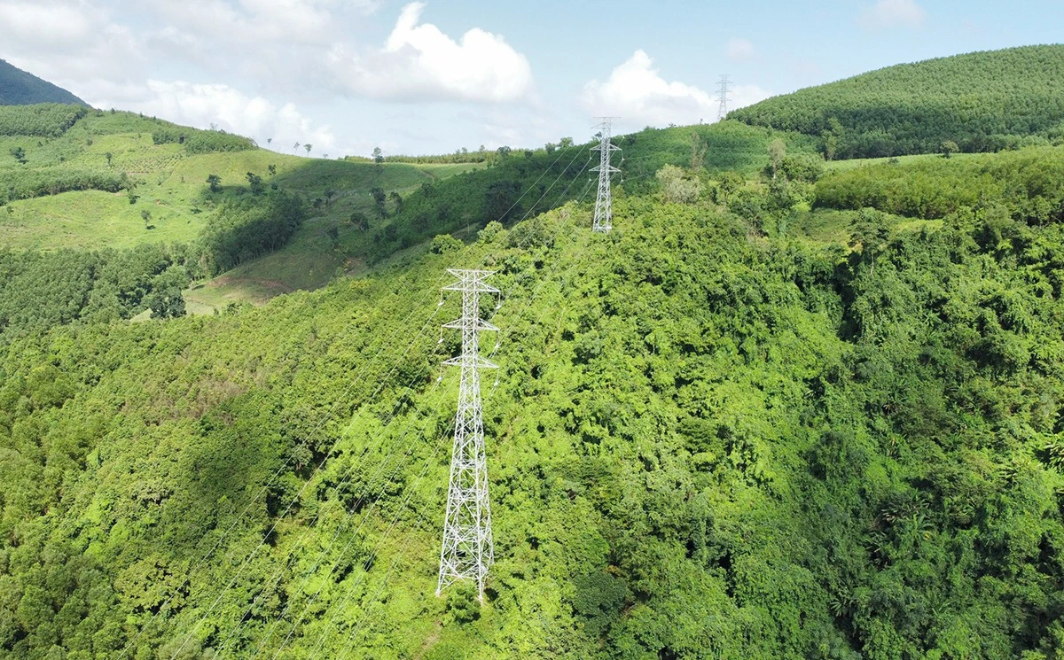 Cho phép tạm sử dụng rừng để thi công dự án đường dây 500 kV mạch 3