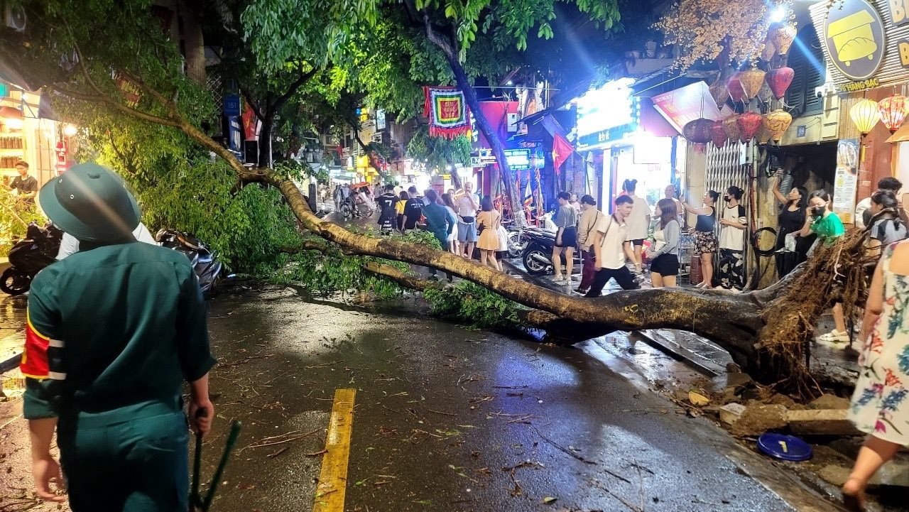 Hà Nội: Nhiều cây cổ thụ gãy đổ trong mưa giông