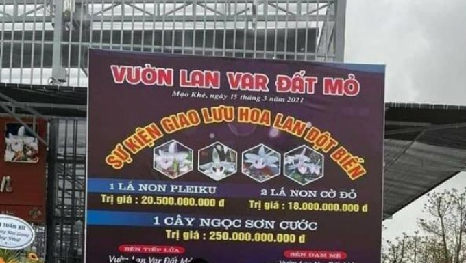 Công an Quảng Ninh xác minh vụ giao dịch lan đột biến hàng trăm tỷ