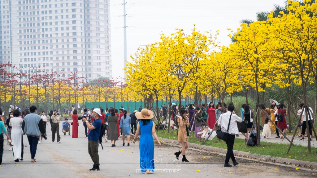 Giới trẻ Hà thành thích thú check-in đường hoa phong linh