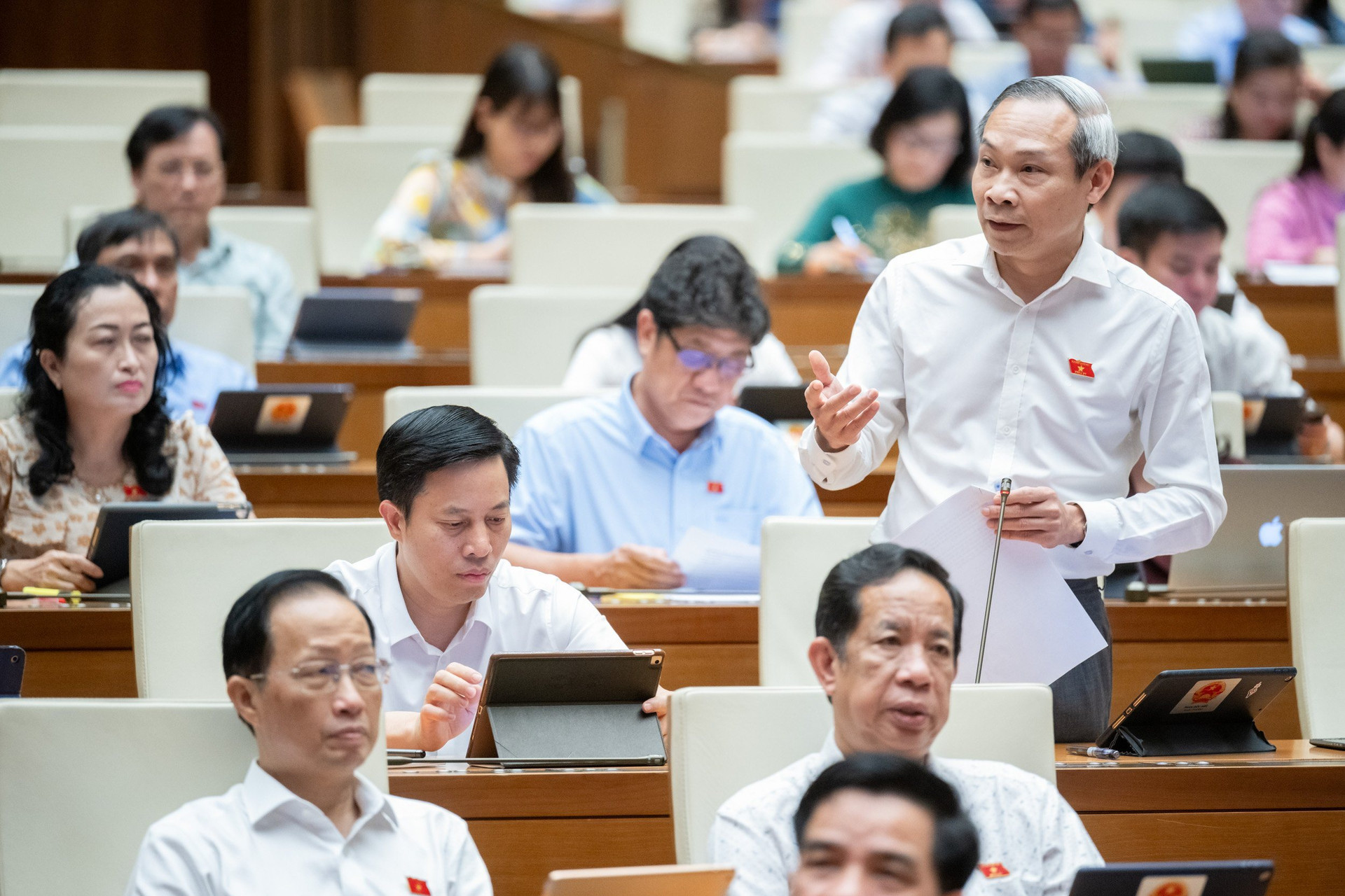 Tăng tỷ lệ đất cây xanh sử dụng công cộng và bảo tồn, phát huy giá trị văn hóa