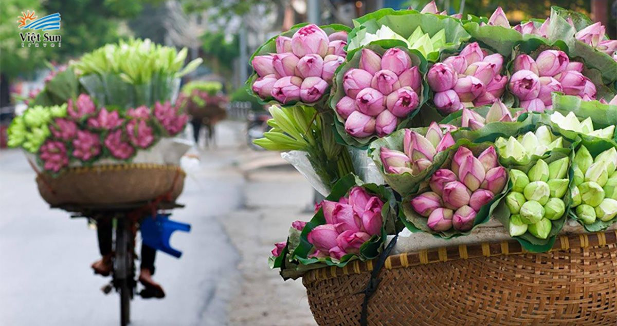 Bài tham dự Cuộc thi viết “Kỷ niệm 70 năm Giải phóng Thủ đô: Ký ức tự hào”: Hà Nội tháng Sáu - rực rỡ sắc hoa hòa trong màu nắng