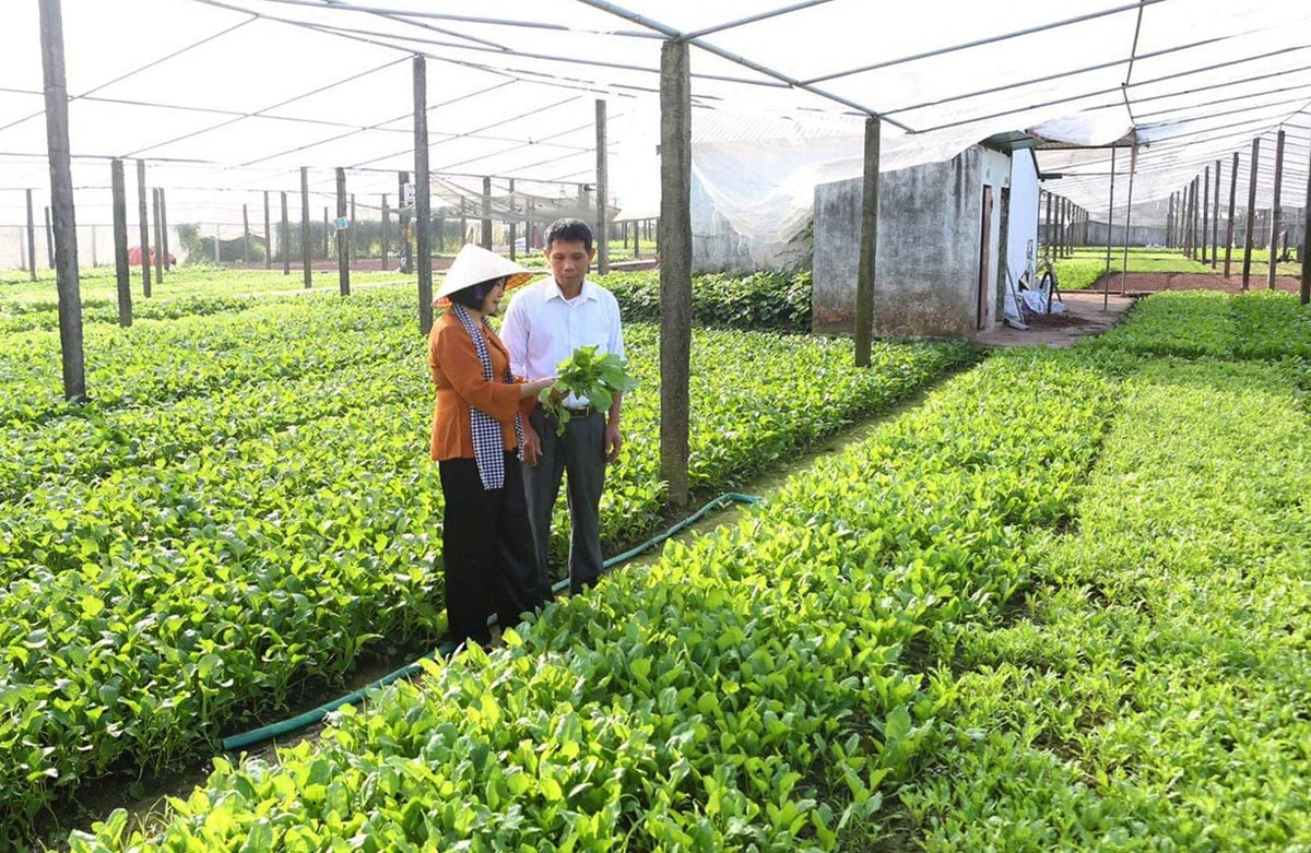 Xây dựng nông thôn mới gắn với phát triển đô thị ở Hà Nội: Nâng cao giá trị sản xuất, kiến tạo không gian xanh