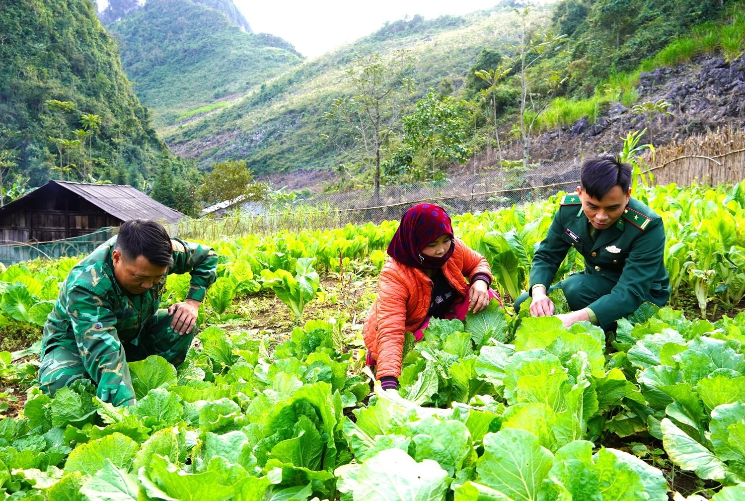 Quân đội đóng vai trò then chốt trong phát triển nguồn nhân lực phục vụ công nghiệp hoá, hiện đại hoá