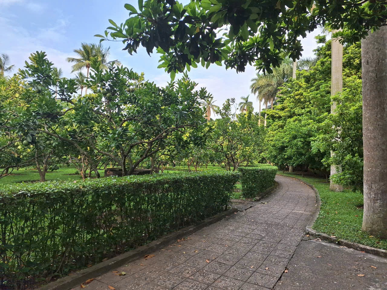 Hôm nay, chất lượng không khí ở Hà Nội tốt