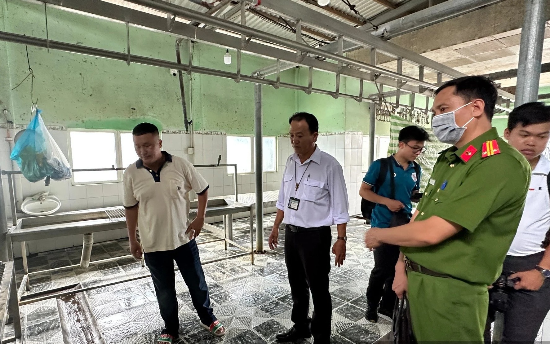 Hình ảnh chụp heo bệnh là thật, nhưng có thể chụp để báo cáo tiêu hủy?