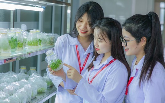 Thí sinh ‘đổ xô’ đăng ký ngành Sư phạm: Điểm chuẩn 2025 tăng mạnh?