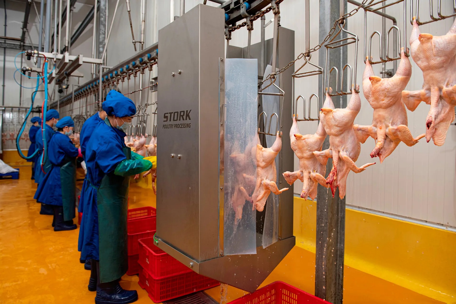 Hà Nội: xây dựng lộ trình xử lý dứt điểm 700 điểm giết mổ nhỏ lẻ 