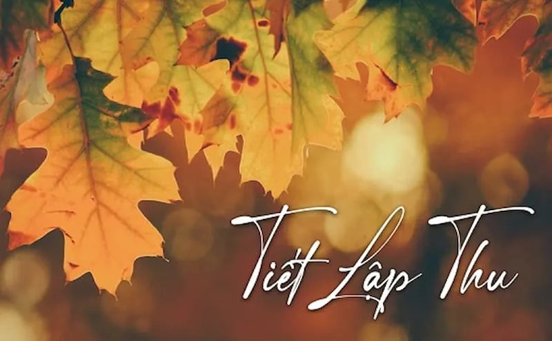 Tiết lập Thu là gì? Nên làm gì vào tiết lập Thu 2025?