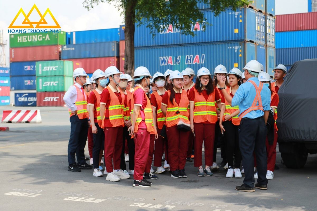 Ngành Logistics 2025: Cuộc đua học phí giữa các trường đại học