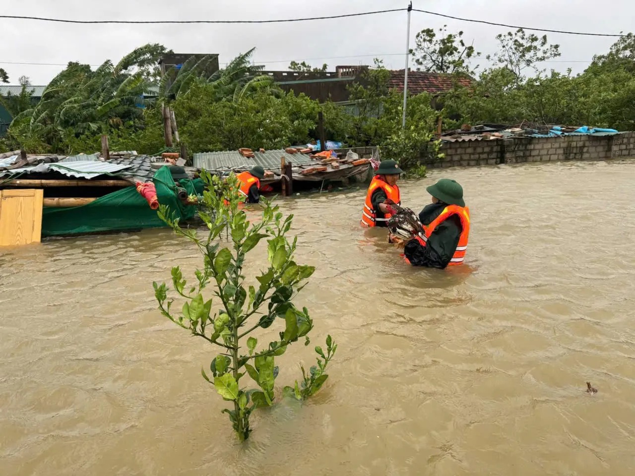Thiệt hại gia tăng khủng khiếp do bão số 10