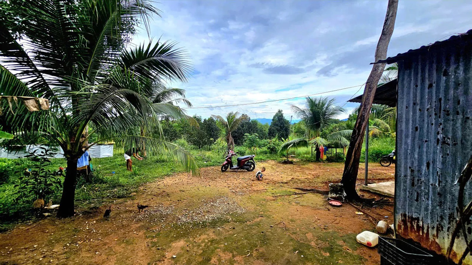 Đặc khu Phú Quốc còn hơn 4.000ha đất của dân chưa được cấp giấy chứng nhận quyền sử dụng đất