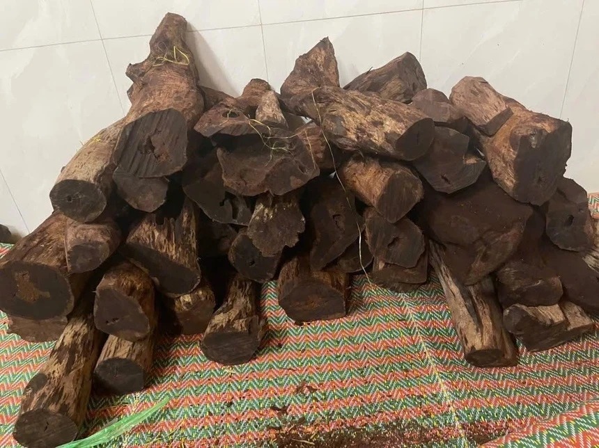 Khi gỗ được mua theo… kilogram: Bài học đắt giá từ “cơn sốt” gỗ mán đỉa