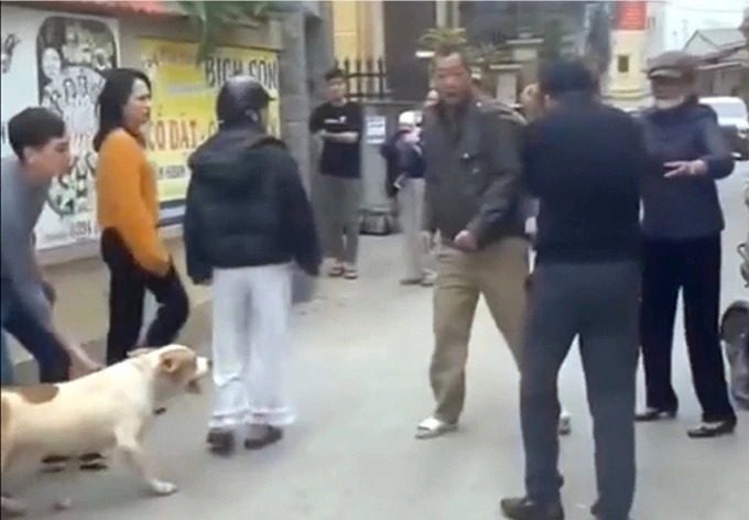 Vụ “điều” chó cắn người: Khi con vật không phải thủ phạm chính