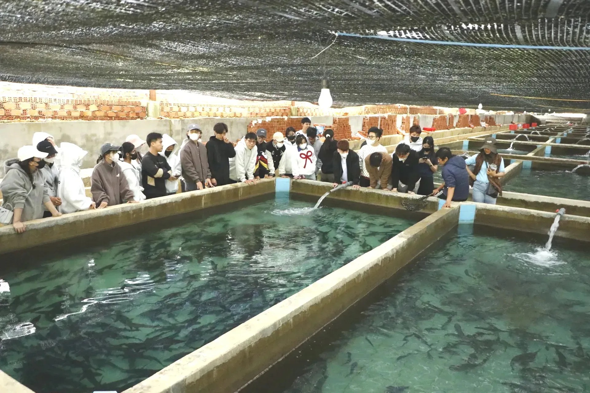 Nuôi trồng thủy sản - hướng đi bền vững cho người trẻ