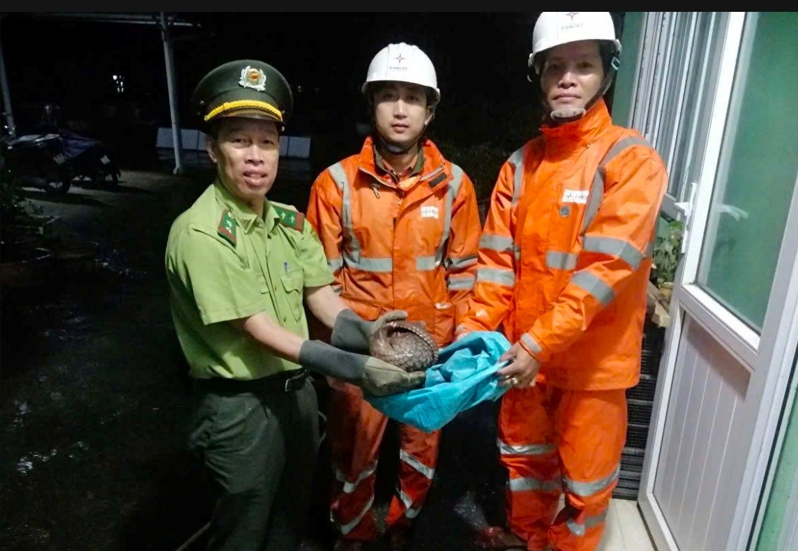 Hai nhân viên Công ty Điện lực Huế cứu hộ động vật quý hiếm