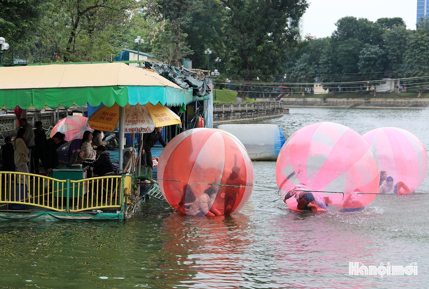 Vườn thú Hà Nội hút khách trong ngày đầu năm mới 2026