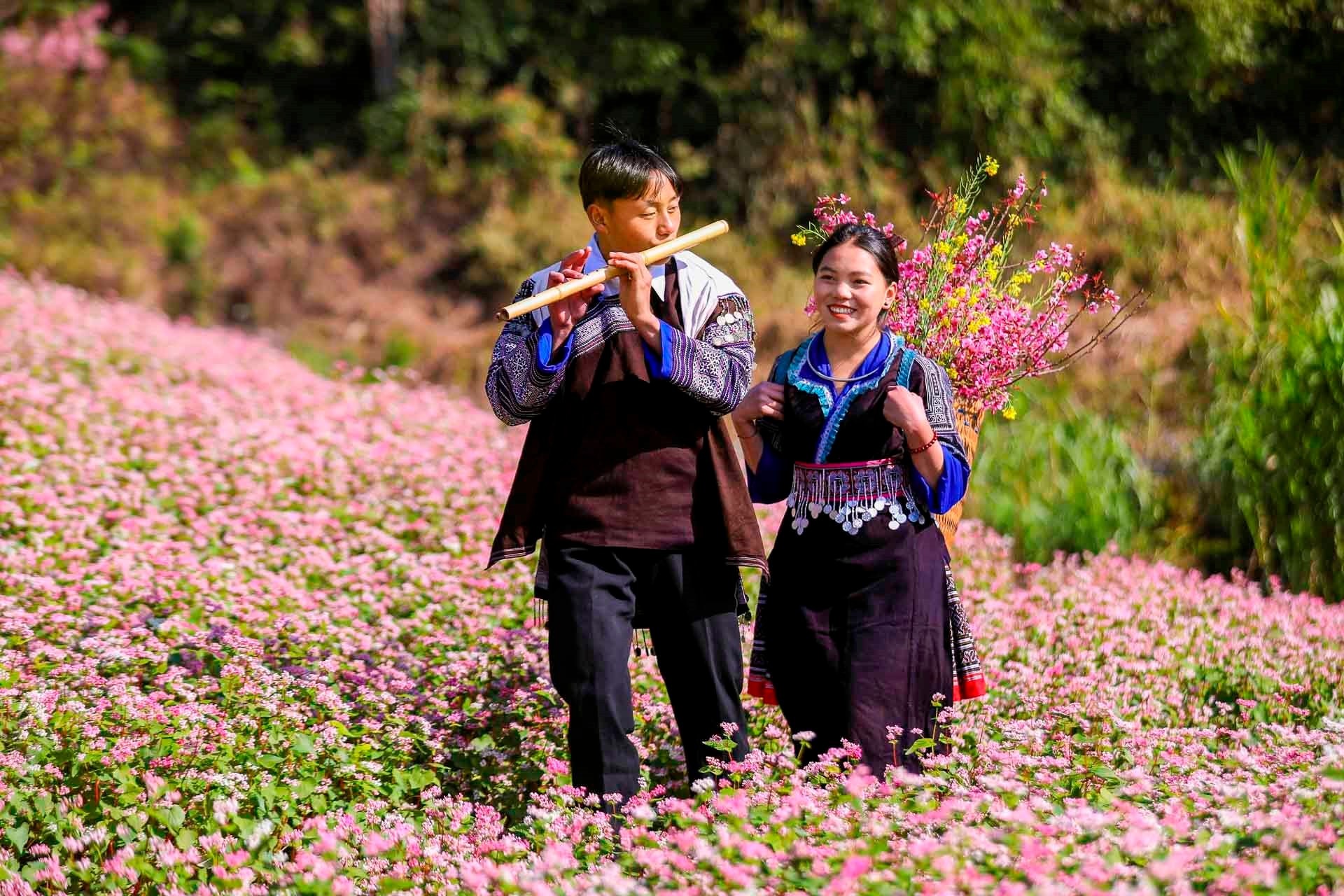 Tết đến từ sắc hồng Tớ dày trên núi rừng Mù Cang Chải