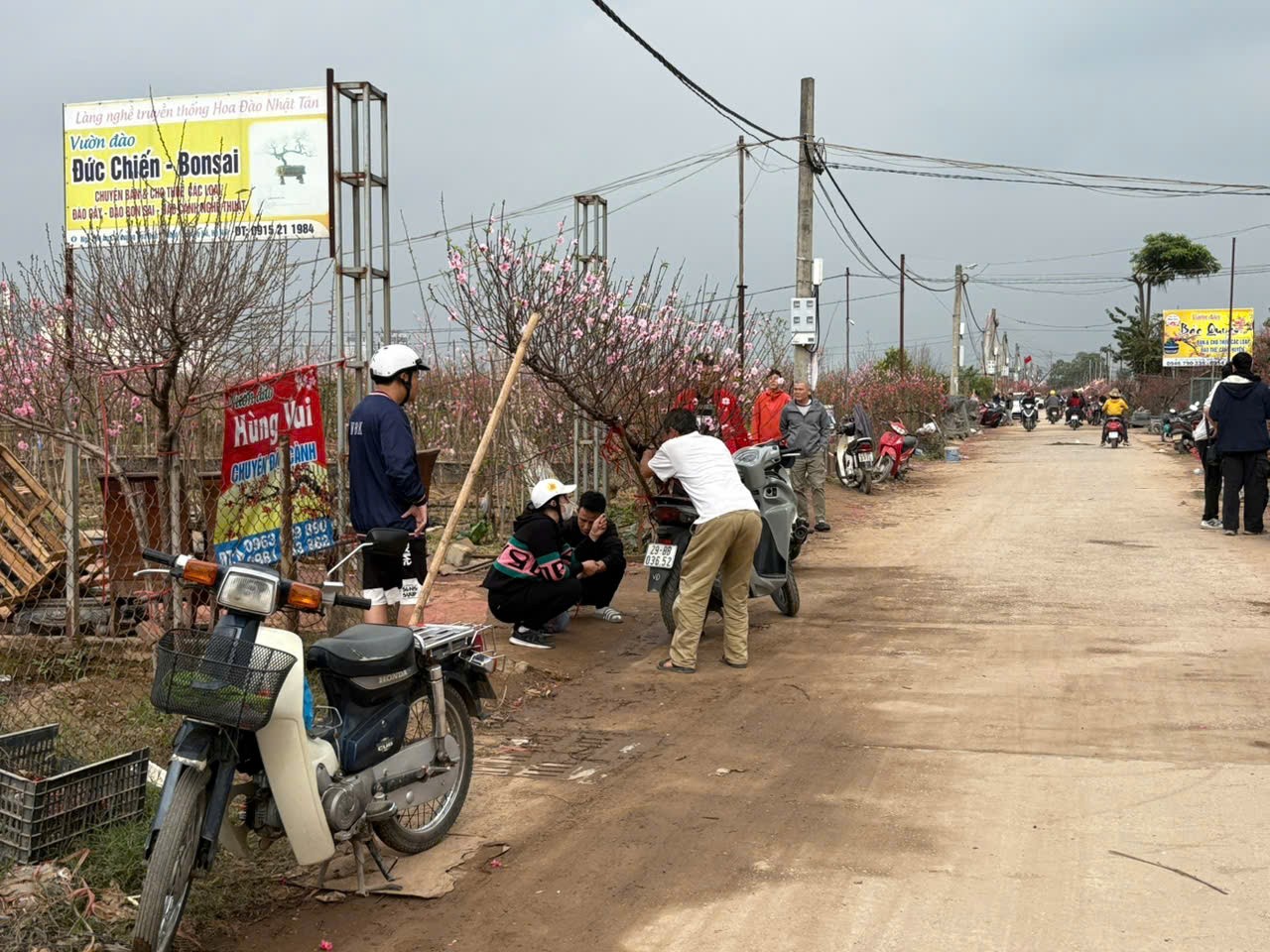 Ngày 29 Tết: Miền Bắc hửng nắng, nền nhiệt giảm mạnh khi không khí lạnh tràn về