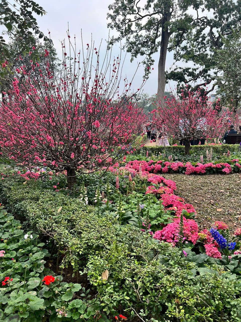 Mùng 4 Tết: Miền Bắc ấm dần, miền Trung còn mưa rải rác