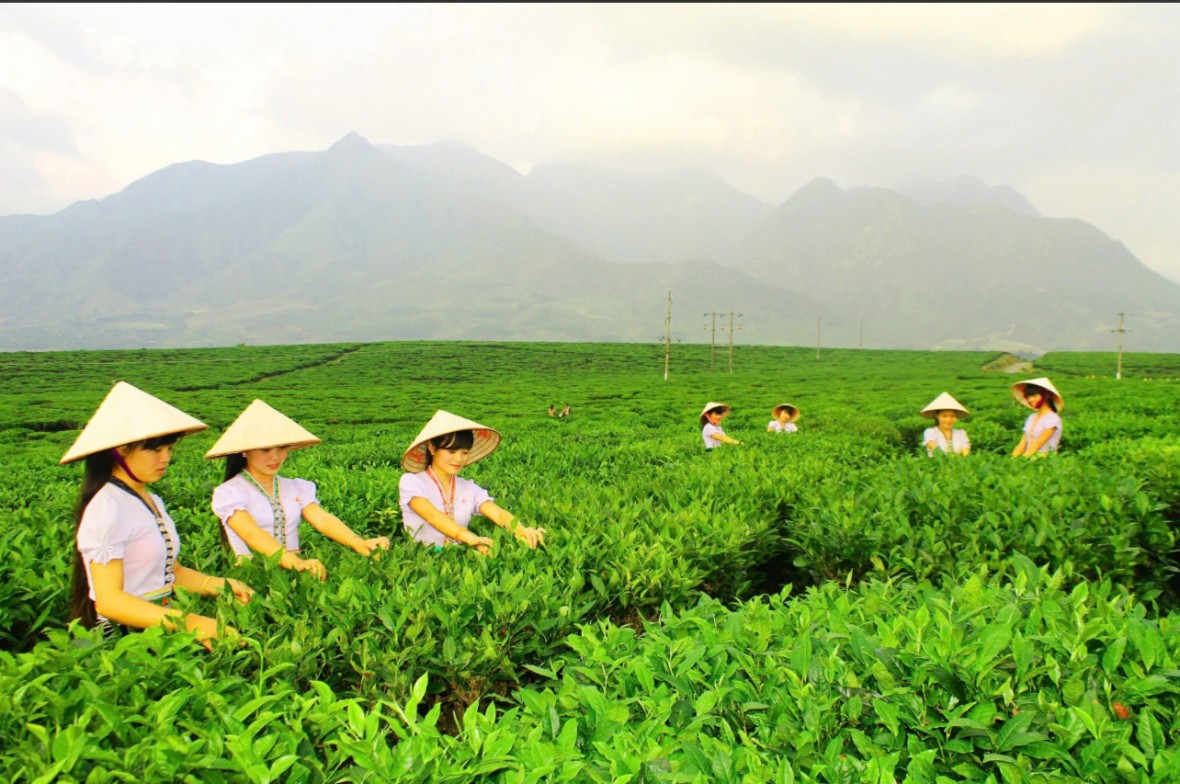 Thương mại điện tử mở ra cơ hội lớn cho đặc sản miền núi