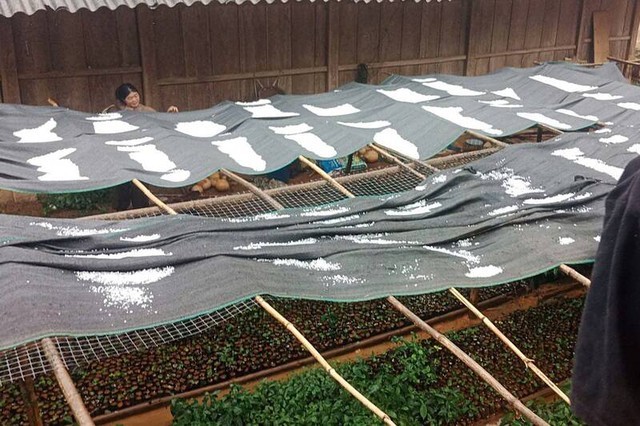 Đêm nay không khí lạnh tràn về, cảnh báo dông lốc, mưa đá diện rộng