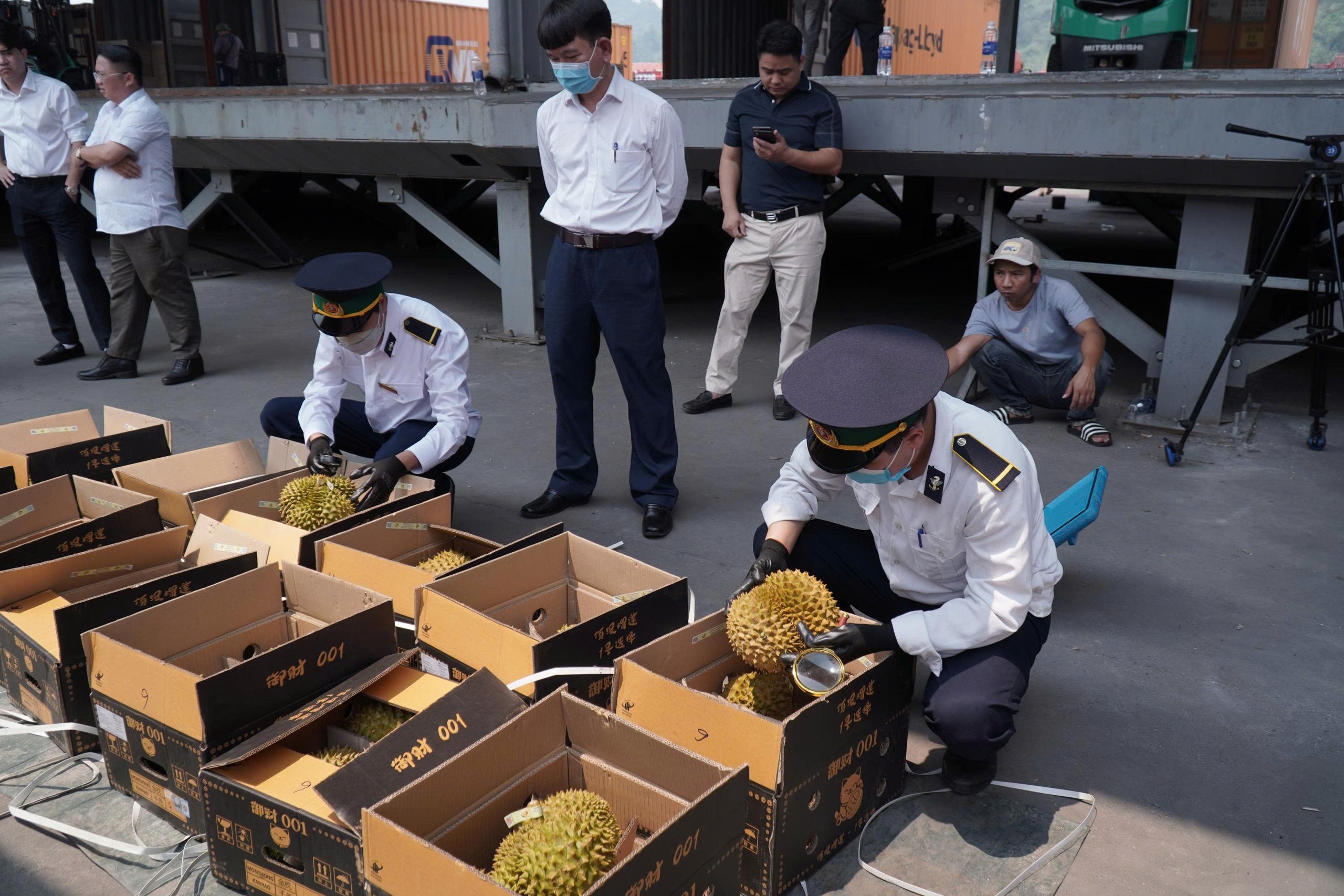 Xuất khẩu nông sản bằng “luồng xanh”: Lô sầu riêng đầu tiên tạo dấu ấn chuyển đổi số