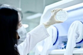 Từ khoa học đến sản phẩm: Câu chuyện phía sau Bisumi 120B