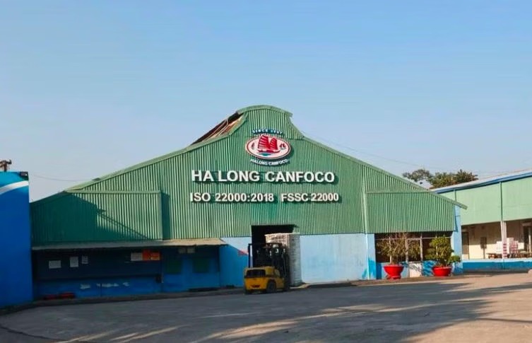 Công ty Cổ phần Đồ hộp Hạ Long tiếp tục báo lỗ