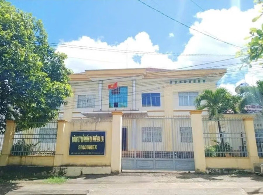 Khởi tố thêm 3 cựu lãnh đạo Công ty Cà phê Gia Lai trong vụ thất thoát hơn 3,2 tỷ đồng